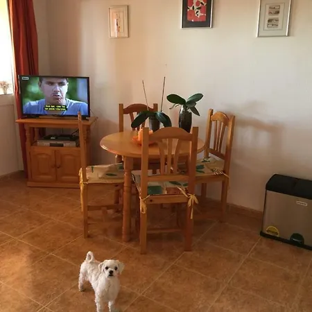 Apartamento Con Piscina En *