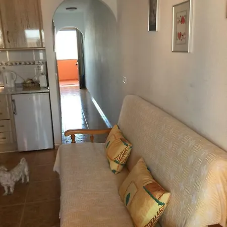Apartamento Con Piscina En Apartment *